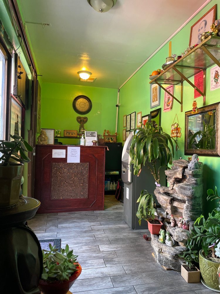 The lobby: a red wooden front desk, framed certificates on the green wall, potted plants and a rock fountain.